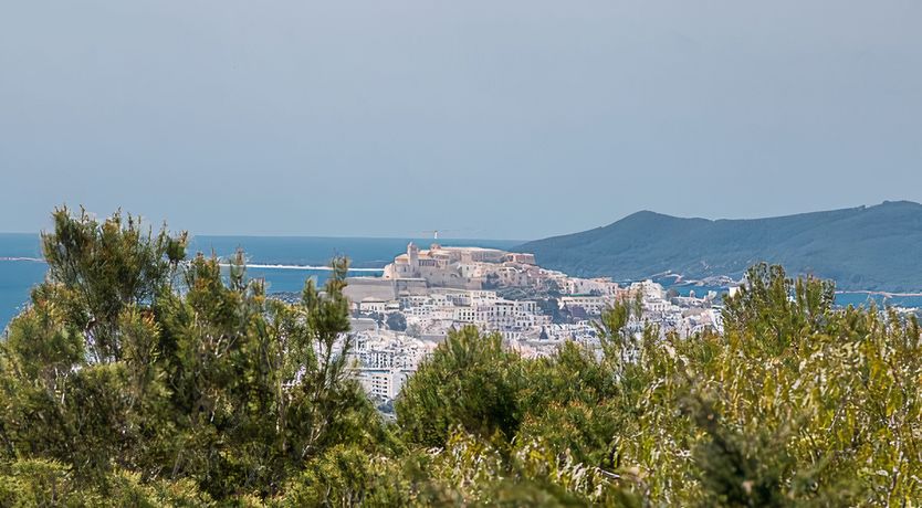 Photo of Hibiscus & Agave
