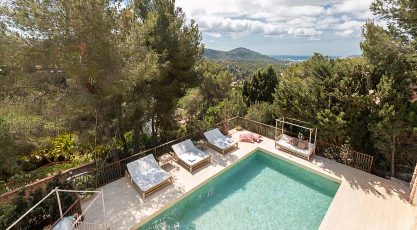 Photo of Hibiscus & Agave