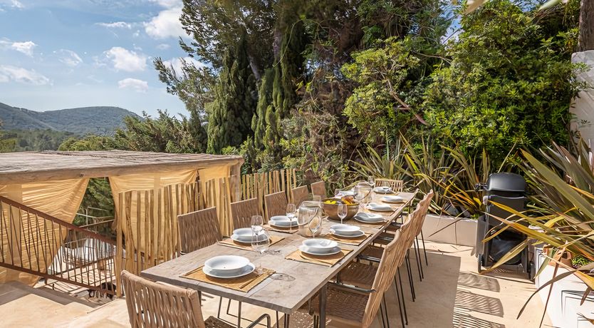 Photo of Hibiscus & Agave