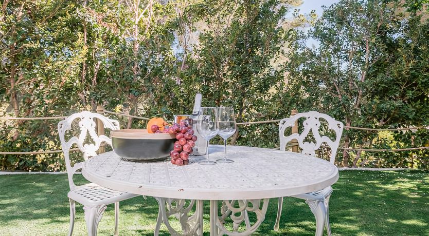 Photo of Hibiscus & Agave