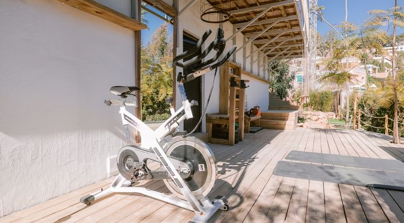 Photo of Hibiscus & Agave