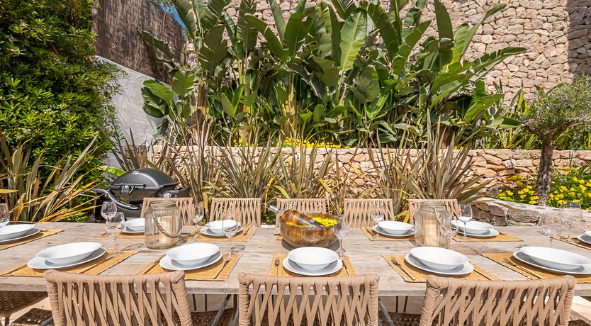 Photo of Hibiscus & Agave