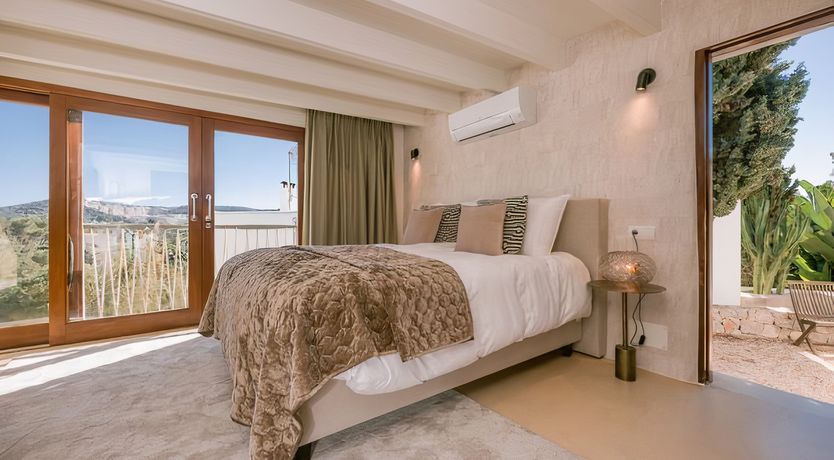 Photo of Hibiscus & Agave