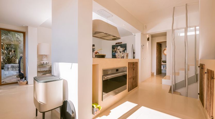 Photo of Hibiscus & Agave