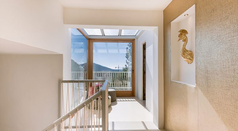 Photo of Hibiscus & Agave