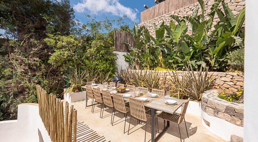 Photo of Hibiscus & Agave