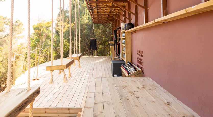 Photo of Hibiscus & Agave