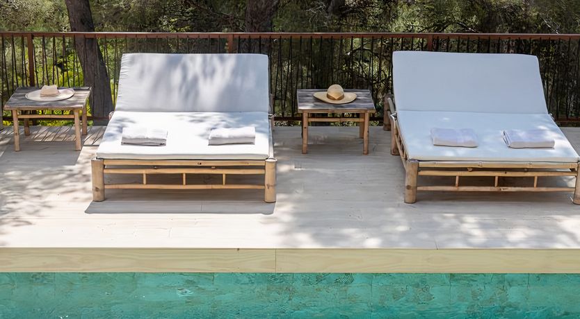 Photo of Hibiscus & Agave