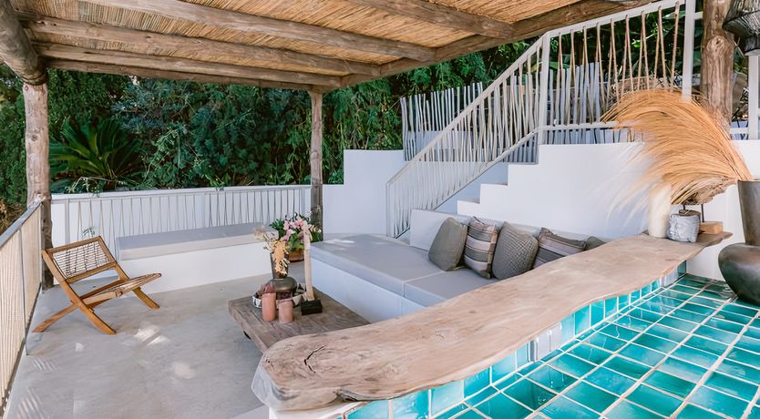 Photo of Hibiscus & Agave