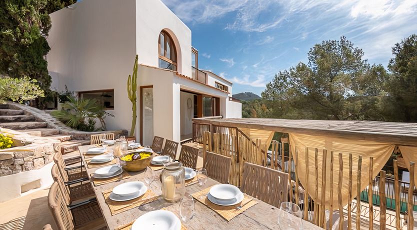 Photo of Hibiscus & Agave