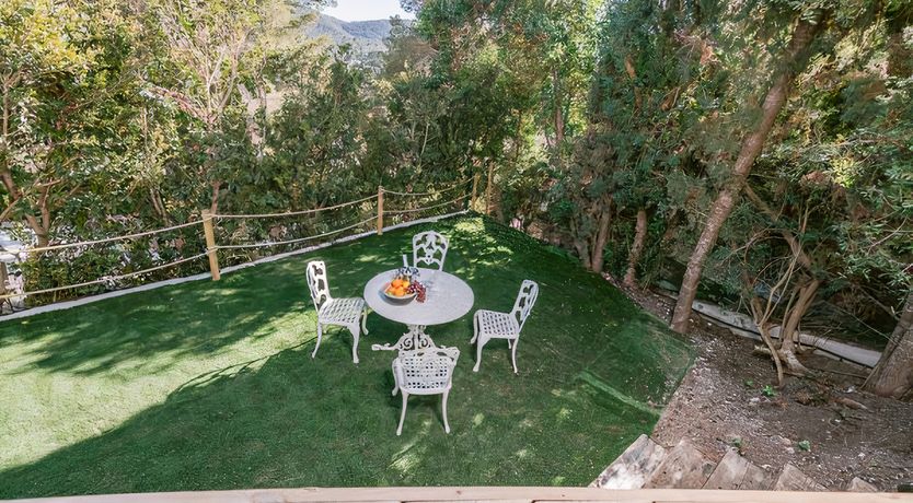 Photo of Hibiscus & Agave