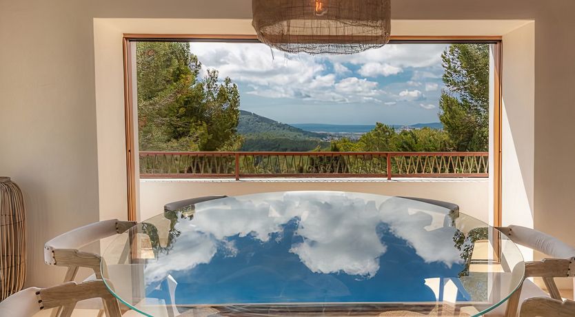 Photo of Hibiscus & Agave