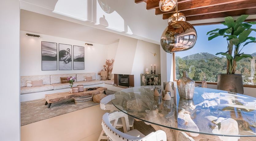 Photo of Hibiscus & Agave