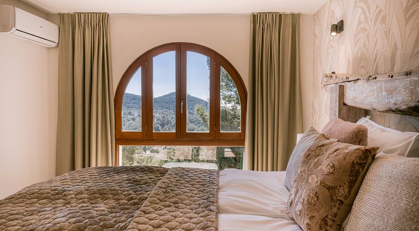 Photo of Hibiscus & Agave