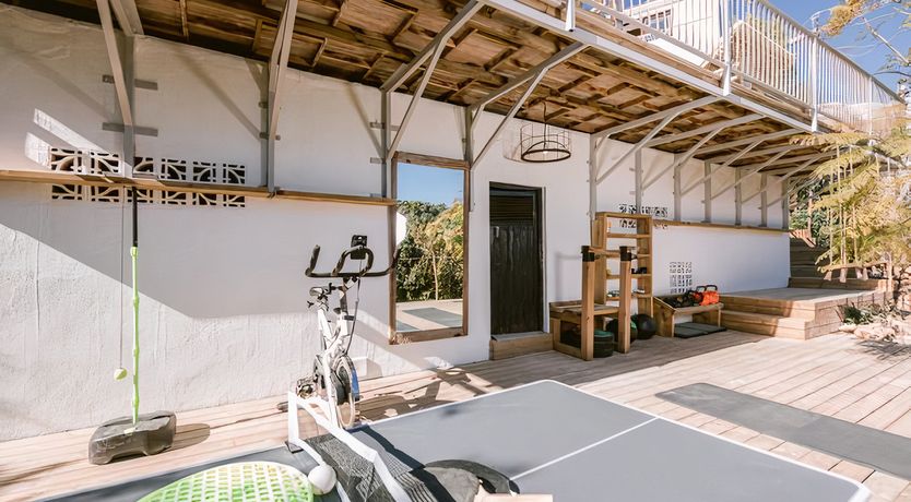 Photo of Hibiscus & Agave