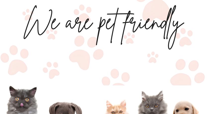 Photo of Citron Lime