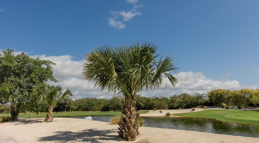 Photo of I Dream of Paradise