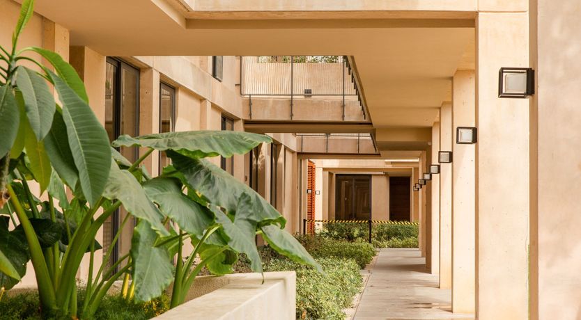 Photo of I Dream of Paradise