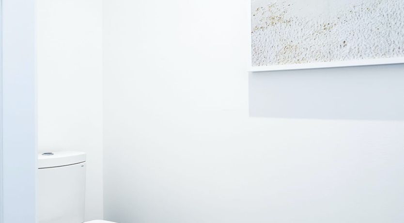 Photo of Miami Magic