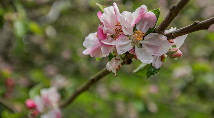 Photo of 1 Bed in Wells