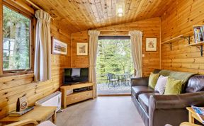 Photo of in Loughrigg (94984)