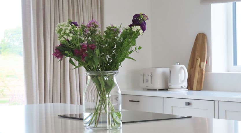 Photo of Shannon Vale