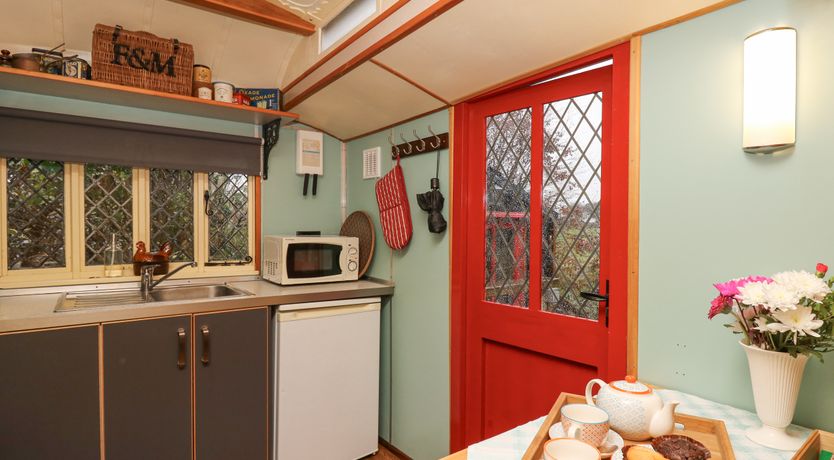 Photo of Dolly the Circus Wagon