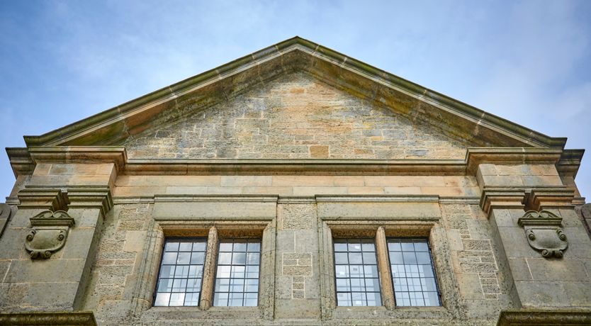 Photo of The Stallion