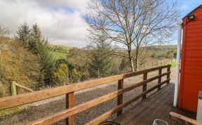 Photo of Red Kite at Wild Valley Huts