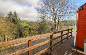 Photo of red-kite-at-wild-valley-huts