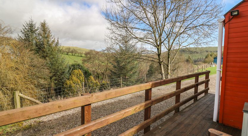 Photo of Red Kite at Wild Valley Huts