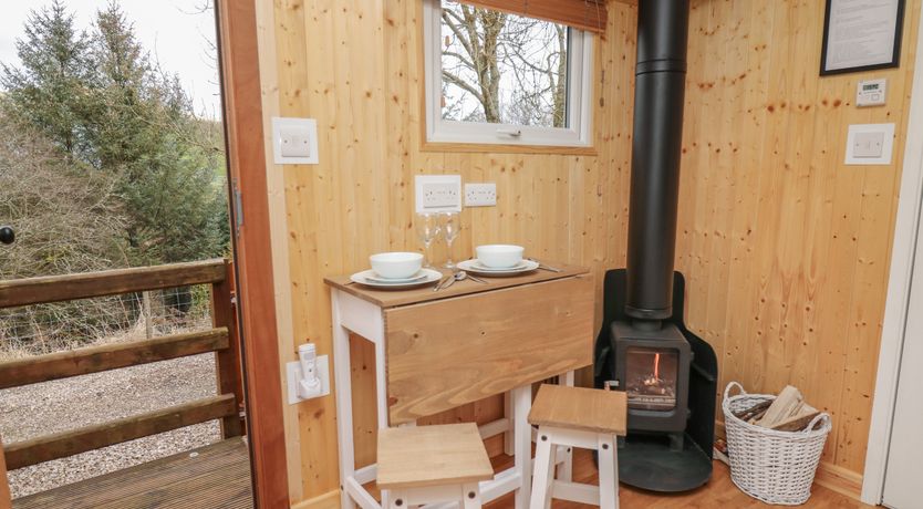 Photo of Red Kite at Wild Valley Huts