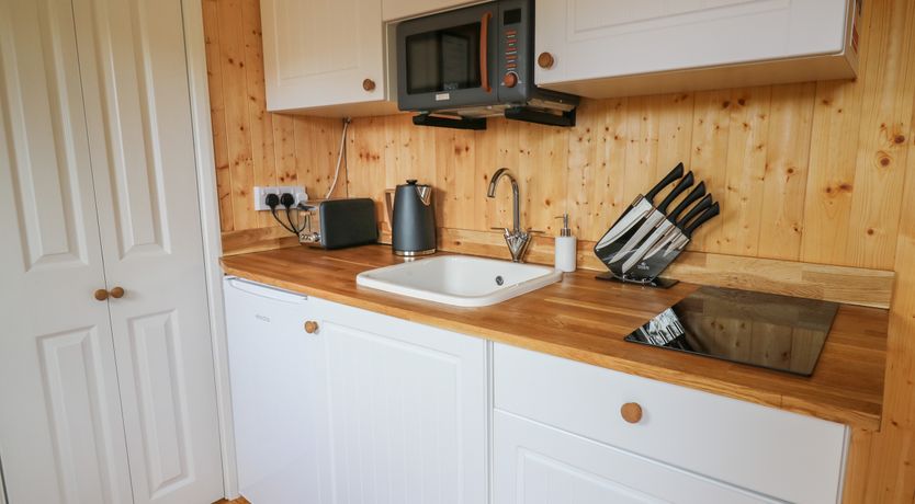 Photo of Red Kite at Wild Valley Huts