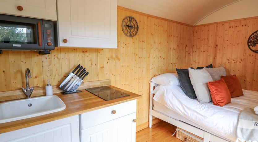 Photo of Red Kite at Wild Valley Huts