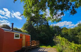 Photo of red-kite-at-wild-valley-huts