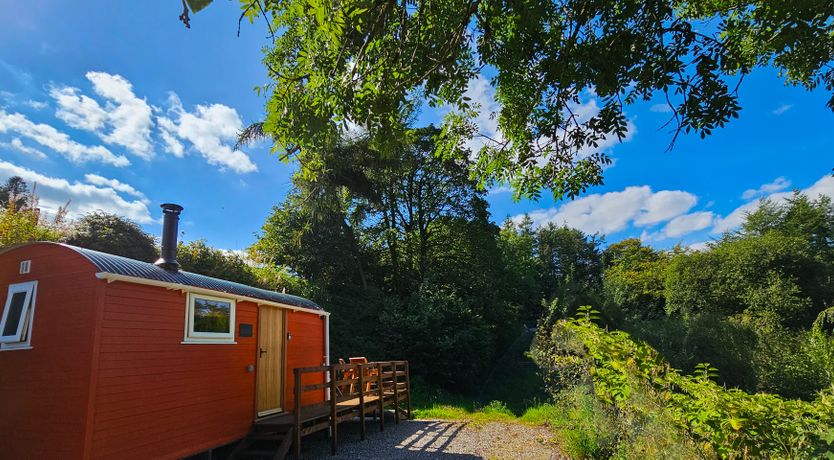 Photo of Red Kite at Wild Valley Huts