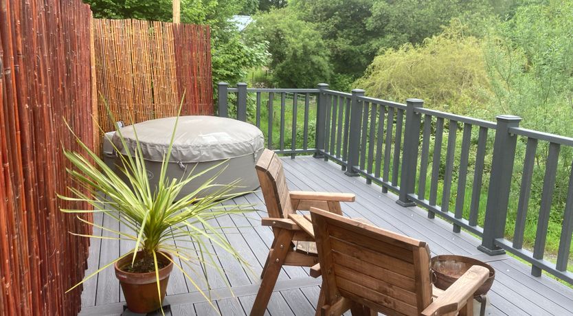 Photo of Red Kite at Wild Valley Huts