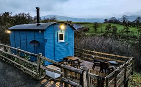 Photo of Cuckoo at Wild Valley Huts