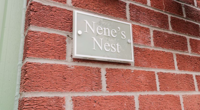 Photo of Nene's Nest