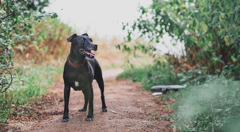 Photo of Railway Station Cottage