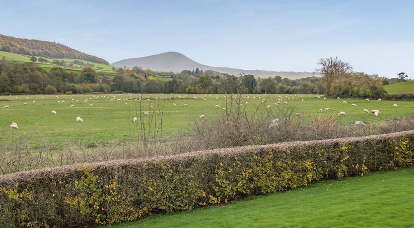 Photo of Country Cottage