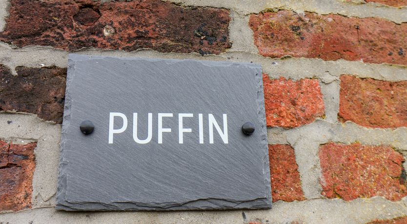 Photo of Puffin