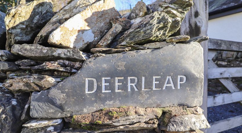 Photo of Deer Leap