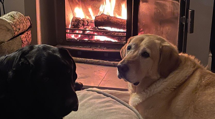 Photo of Craig Yr Ronwy