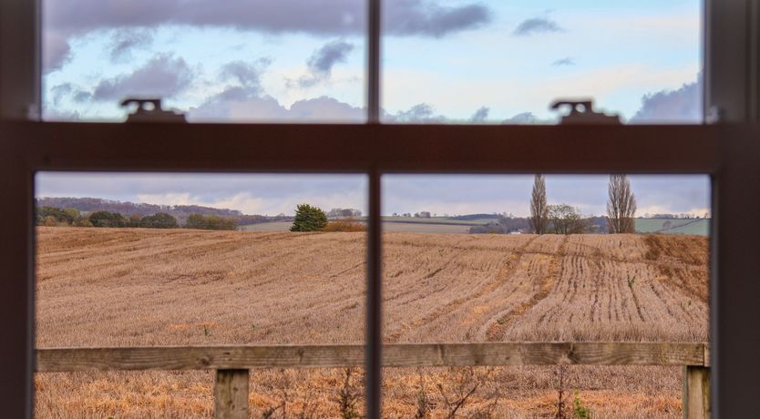 Photo of Robins Nest