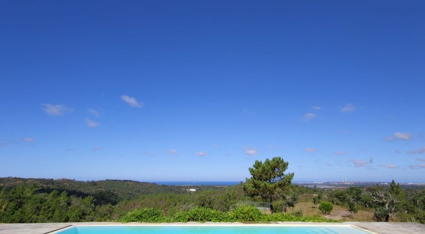 Photo of Distant Blue