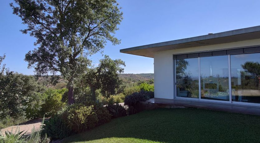 Photo of Distant Blue