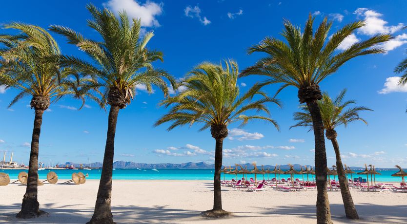 Photo of Honey & Palms