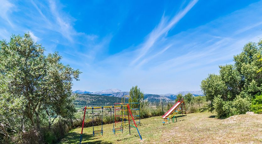 Photo of Honey & Palms