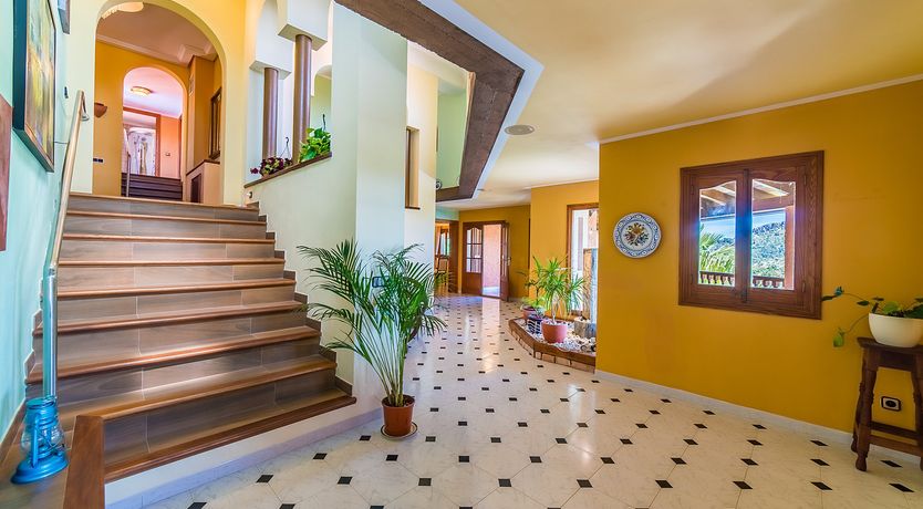 Photo of Honey & Palms